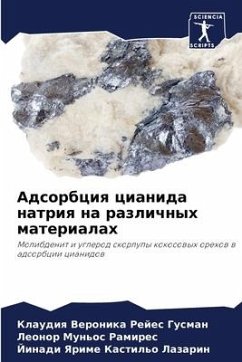 Adsorbciq cianida natriq na razlichnyh materialah - Rejes Gusman, Klaudiq Veronika;Mun'os Ramires, Leonor;Kastil'o Lazarin, Jinadi Yarime