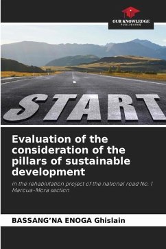 Evaluation of the consideration of the pillars of sustainable development - ENOGA Ghislain, BASSANG'NA