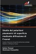 Studio dei polaritoni plasmonici di... - Bild 1