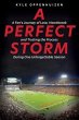 A Perfect Storm (eBook, ePUB) - Bild 1