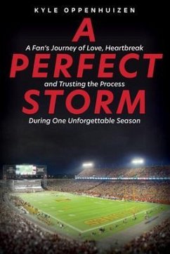 Cover A Perfect Storm (eBook, ePUB)