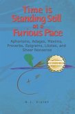 Time is Standing Still at a Furious Pace (eBook, ePUB) Time is Standing Still at a Furious Pace (eBook, ePUB)
