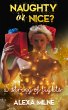 A String of Lights (eBook, ePUB) - Bild 1