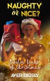Twelve Kinks of Christmas (eBook, ePUB)