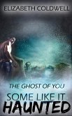 The Ghost of You (eBook, ePUB)