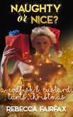 A Codfish and Custard Tarts Christmas (eBook, ePUB)