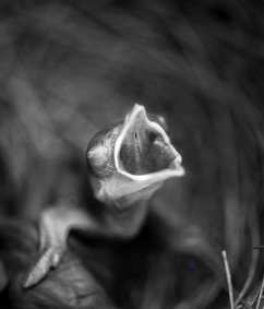 Cover Frisch und Kreiß (eBook, ePUB)