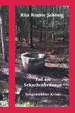 Tod am Schachenbrunnen (eBook, ePUB)