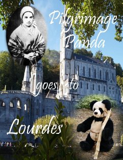 Pilgrimage Panda goes to Lourdes - D'Ancey, Catherine And Louise