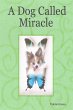 A Dog Called Miracle - Bild 1