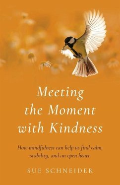 Meeting the Moment with Kindness - Schneider, Sue