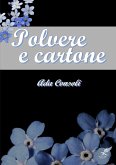 Polvere e cartone