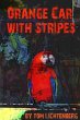 Orange Car with Stripes - Bild 1