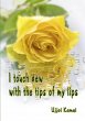 I touch dew with the tips of my lips - Bild 1