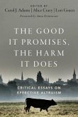 The Good It Promises, the Harm It Does