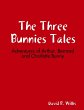The Three Bunnies Adventures - Bild 1