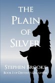 The Plain of Silver