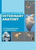 Fundamentals Of Veterinary Anatomy Fundamentals Of Veterinary Anatomy