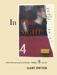 In Plain Sight Volume 3 - Dwyer, Gary