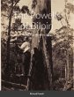 The Powells of Bilpin - Bild 1