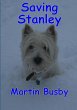 Saving Stanley - Bild 1