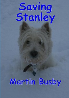 Saving Stanley - Busby, Martin