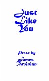 Just Like You Just Like You