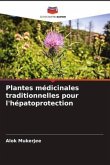 Plantes médicinales traditionnelles pour l'hépatoprotection