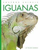 Iguanas