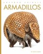 Armadillos - Bild 1