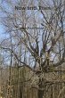 Now and Then - Bild 1