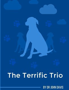 The Terrific Trio - Davis, John