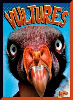 Vultures - Davis-Castro, Janet