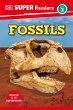 DK Super Readers Level 3 Fossils - Bild 1