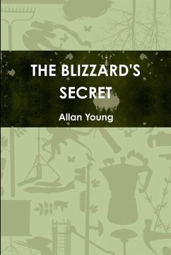 Cover THE BLIZZARD'S SECRET