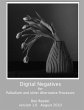 Digital Negatives for palladium and... - Bild 1