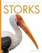 Storks - Bild 1