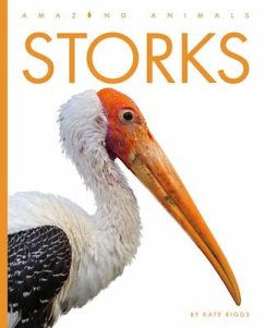 Storks - Riggs, Kate