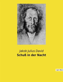 Schuß in der Nacht - David, Jakob Julius