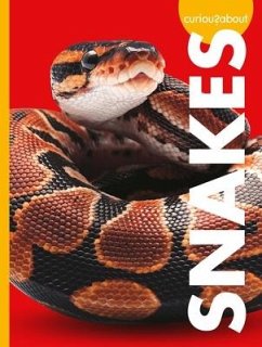 Curious about Snakes - Thielges, Alissa