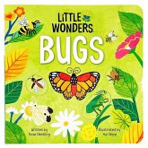 Little Wonders Bugs