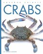 Crabs - Bild 1
