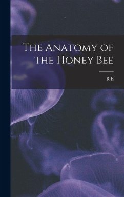 Cover The Anatomy of the Honey Bee
