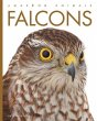 Falcons - Bild 1