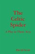 The Celtic Spider - Bild 1