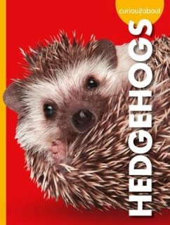 Curious about Hedgehogs - Thielges, Alissa
