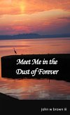 Meet Me in the Dust of Forever