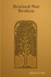 Bruised Not Broken - Bild 1