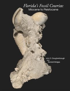 Florida's Fossil Cowries: Miocene to Pleistocene - Daughenbaugh, John D.; Bridges, Randall