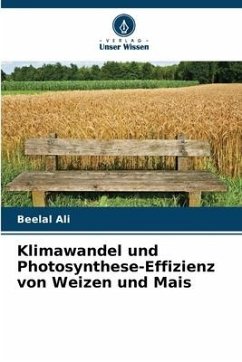 Klimawandel und Photosynthese-Effizienz von Weizen und Mais - Ali, Beelal